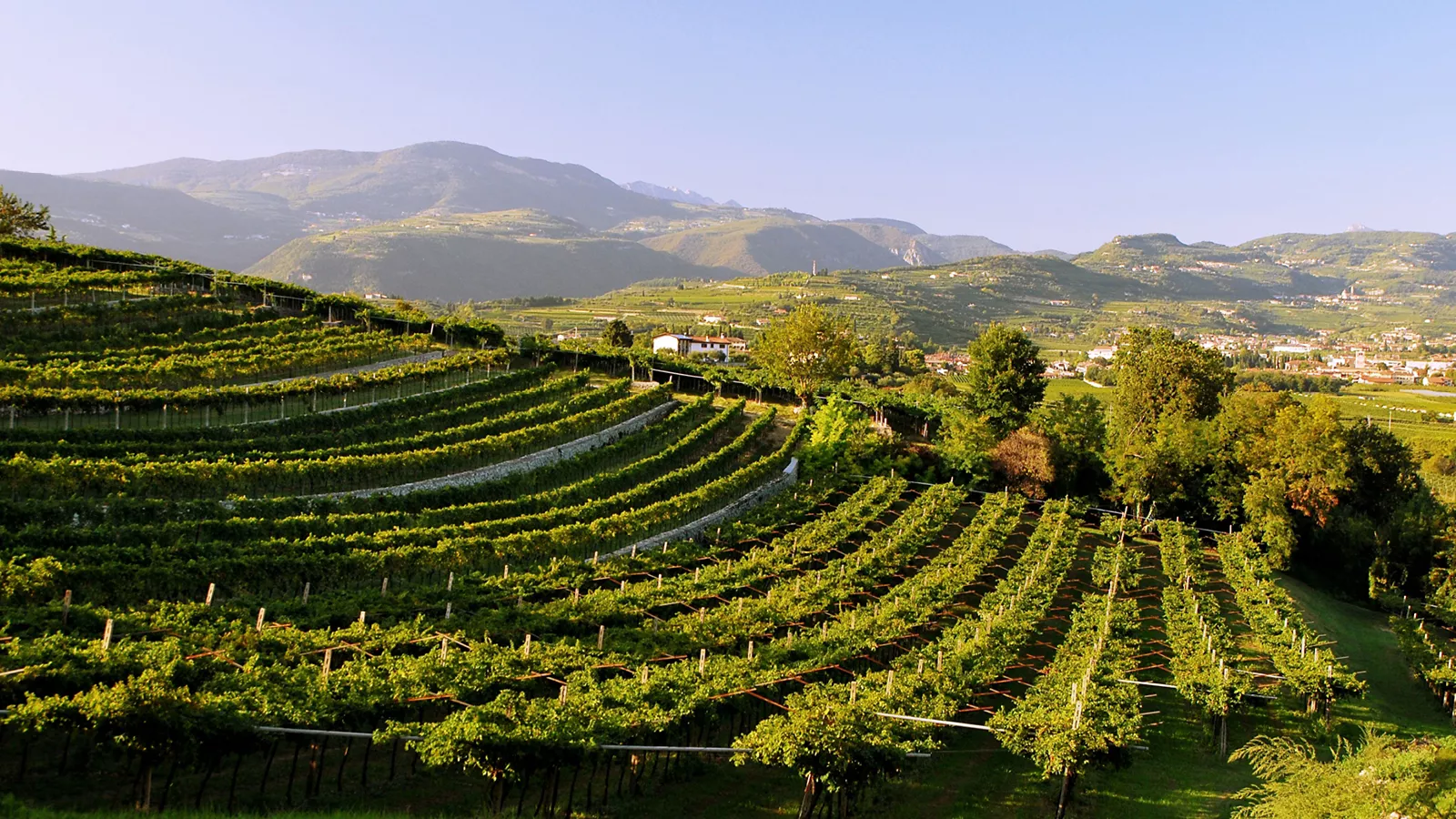 Il Veneto, tra vini e sapori
