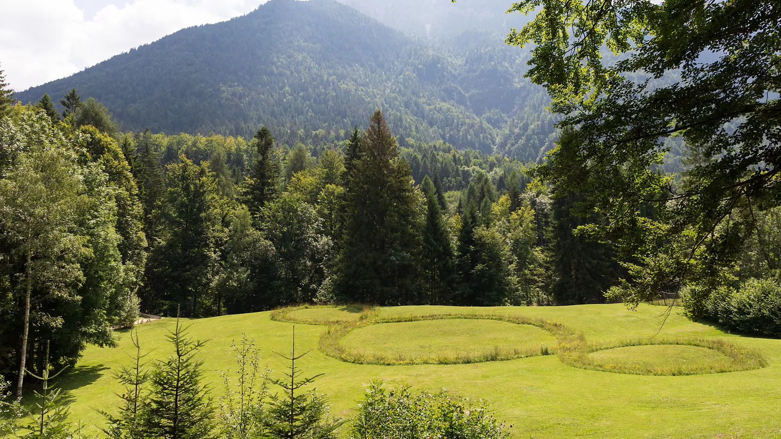 In Trentino, along the trail combining art and nature