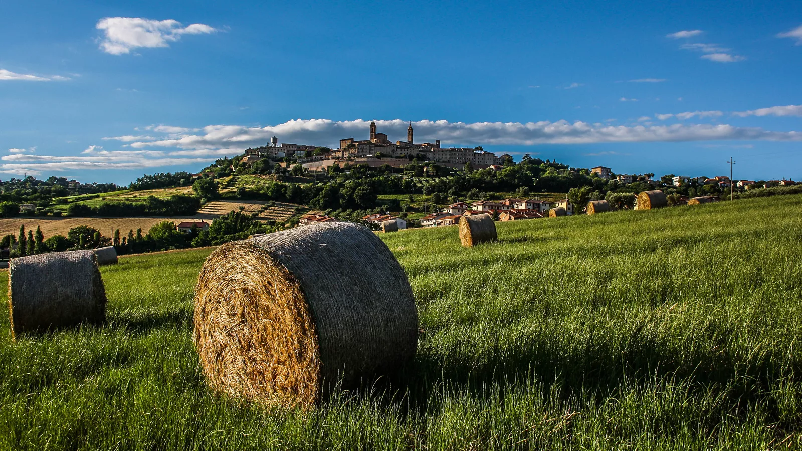 The flavours of the Macerata area and surroundings between tradition and looking to the future