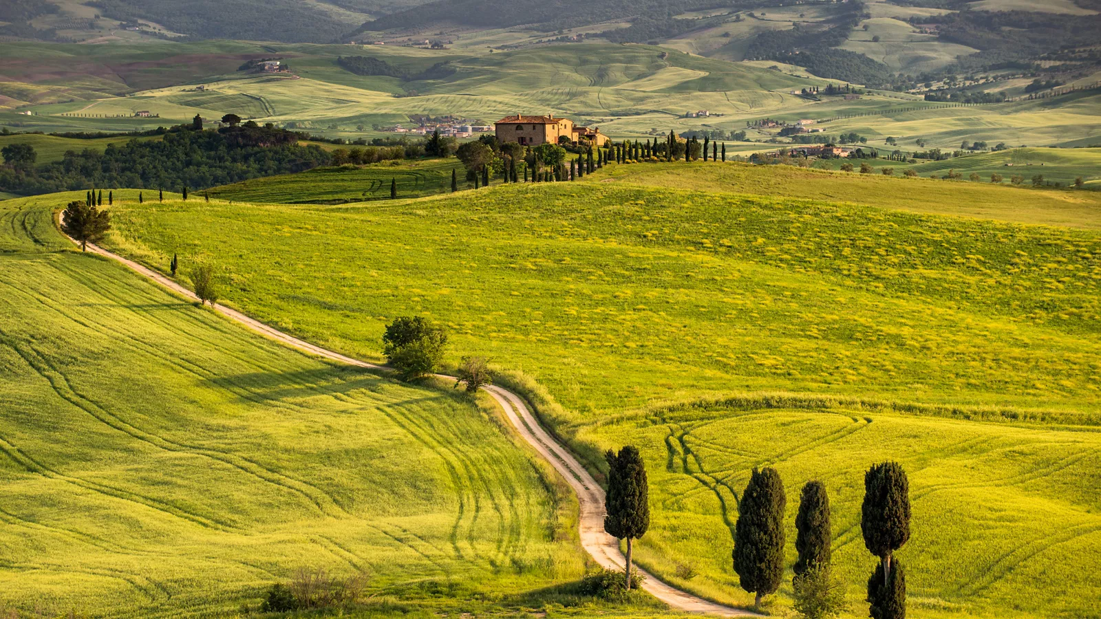 Toscana en copa