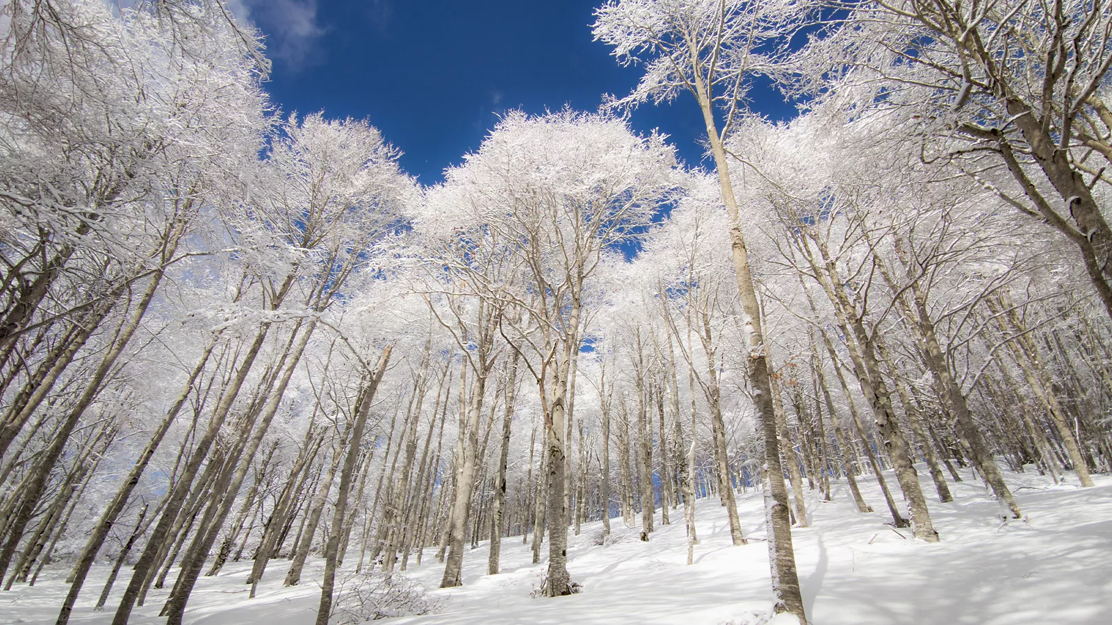 Ten mountain parks you can also discover in winter