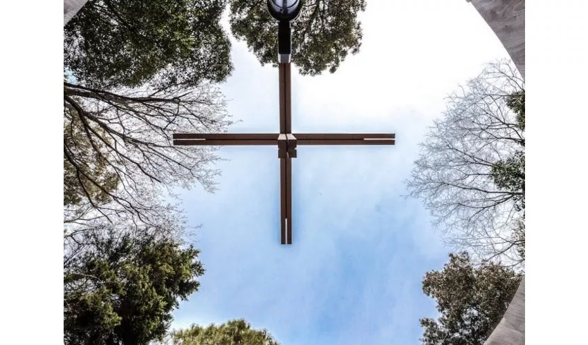 Isola di San Giorgio Maggiore: Tour del Bosco e delle Cappelle Vaticane