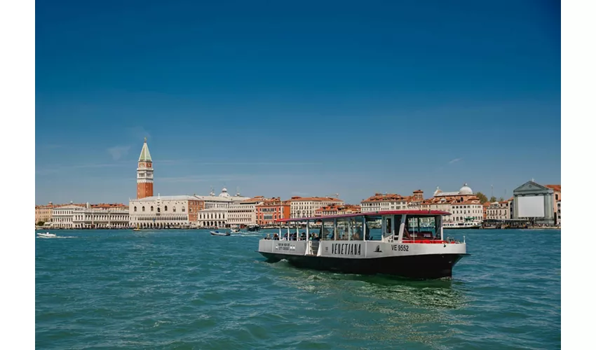 Murano, Burano & Torcello Venice: 24-Hr Hop-on Hop-off Boat Tour