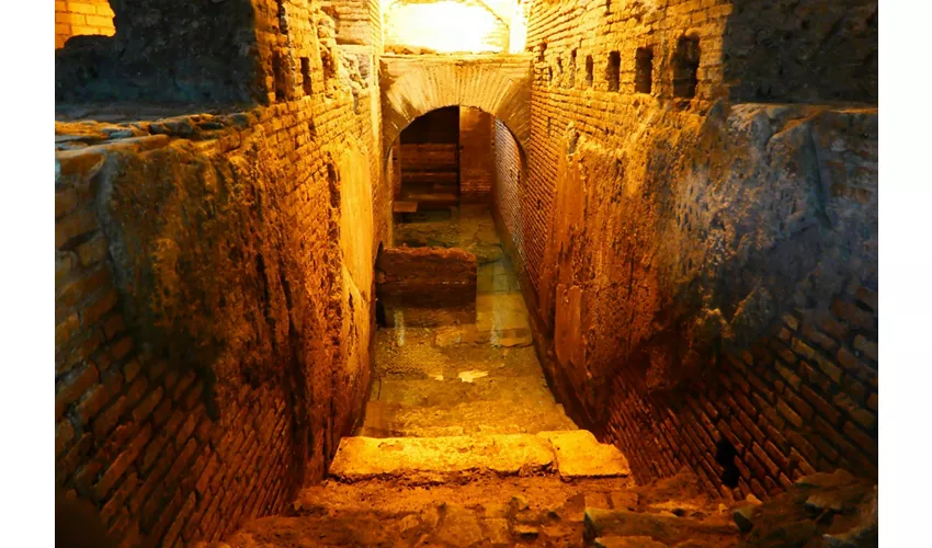 Fontana di Trevi Roma: tour guidato di 40 minuti della Domus sotterranea