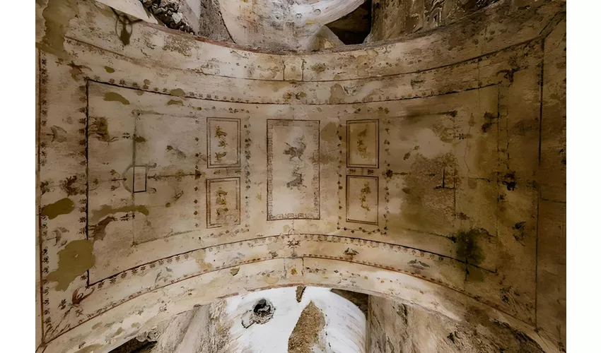 Domus Aurea: Entry Ticket + Guided Tour + VR Experience