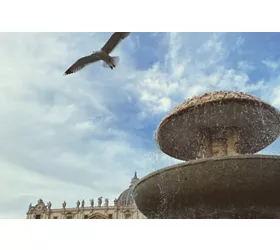 St. Peter's Basilica: Reserved Entry