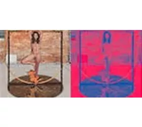 “La Donna Vitruviana”