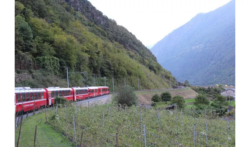 St. Moritz y Tirano: Excursión de un día desde Milán + Billete para el tren Bernina