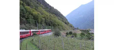 St. Moritz y Tirano: Excursión de un día desde Milán + Billete para el tren Bernina