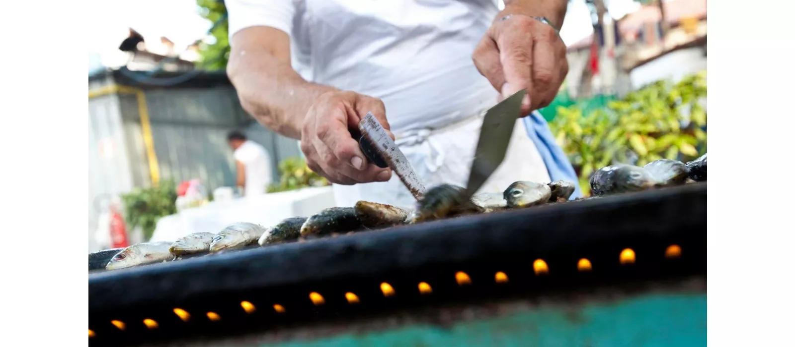 Festa delle Cape 2026