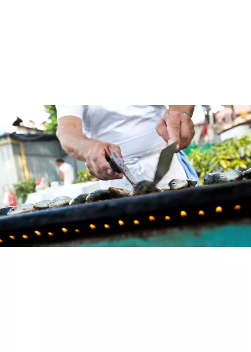 Festa delle Cape 2026