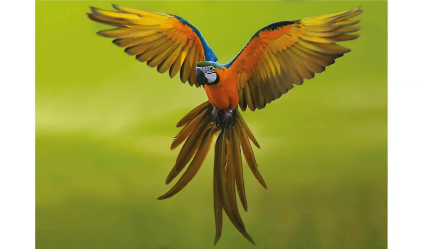 Parco Tematico Oltremare: Biglietto d'ingresso