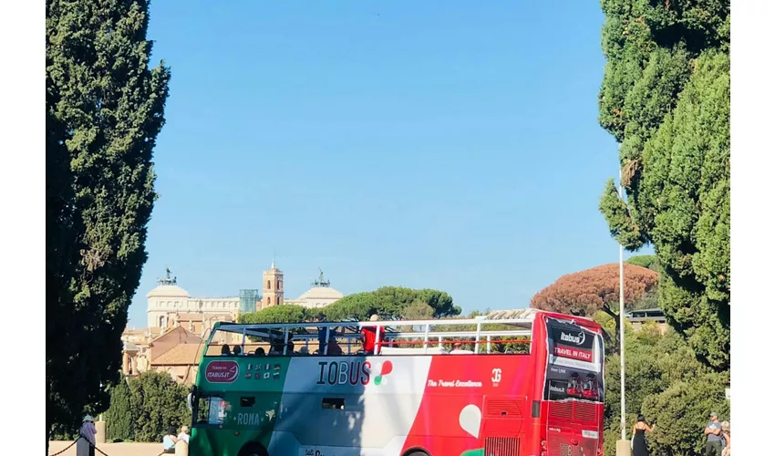 Colosseo, Foro Romano e Palatino: Ingresso riservato + Bus panoramico aperto