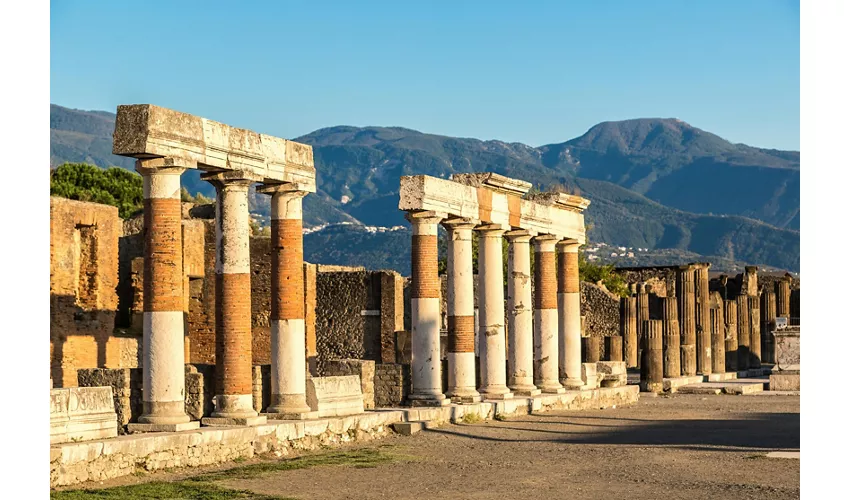 Pompei: Ingresso + Trasporto di andata e ritorno da Roma