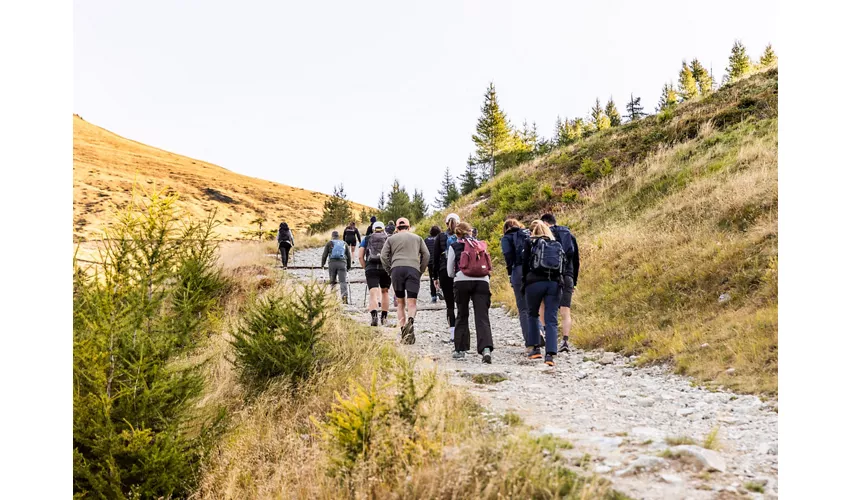E-bike & Trekking Experience: vivi la montagna in modo autentico sulla Piana di Vigezzo