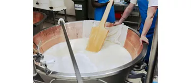 Noceto: Parmesan Cheese Factory Guided Tour