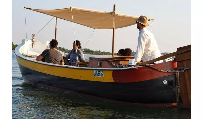 Murano, Burano & Torcello: Traditional Boat Tour + Glass-blowing Demonstration
