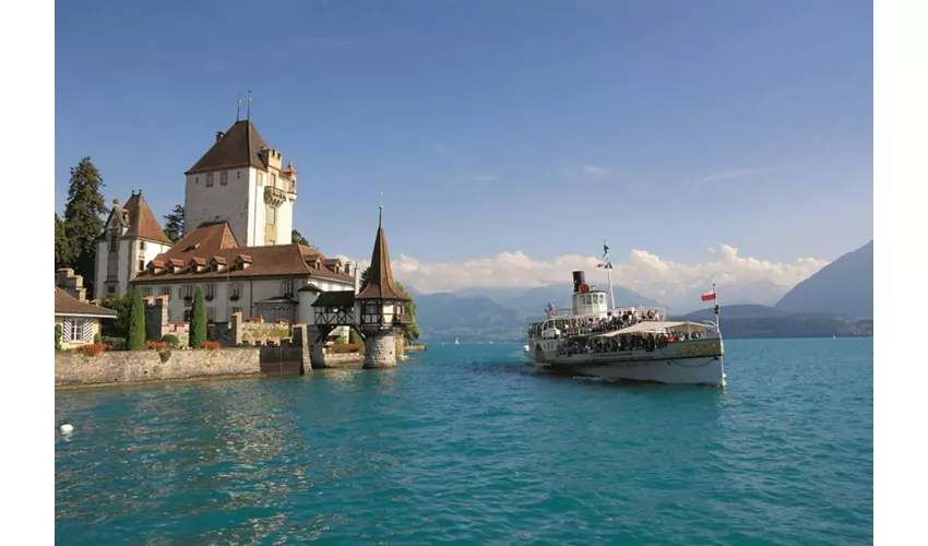 Interlaken y el Tren Verde de los Alpes Suizos: Excursión de un día desde Milán