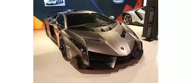 Museo Lamborghini y Museo Enzo Ferrari: Entrada
