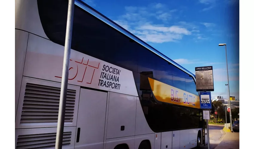 Rome: Civitavecchia Transfer + Hop-on Hop-off Bus Tour Combi