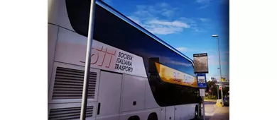Rome: Civitavecchia Transfer + Hop-on Hop-off Bus Tour Combi