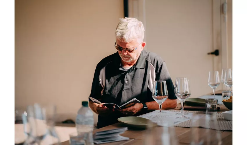 Verona: Prosecco Wine Tour from Venice