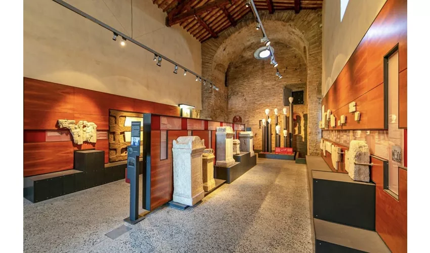 Catacombe dei Santi Marcellino e Pietro e Mausoleo di Elena: tour guidato