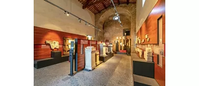 Catacombe dei Santi Marcellino e Pietro e Mausoleo di Elena: tour guidato