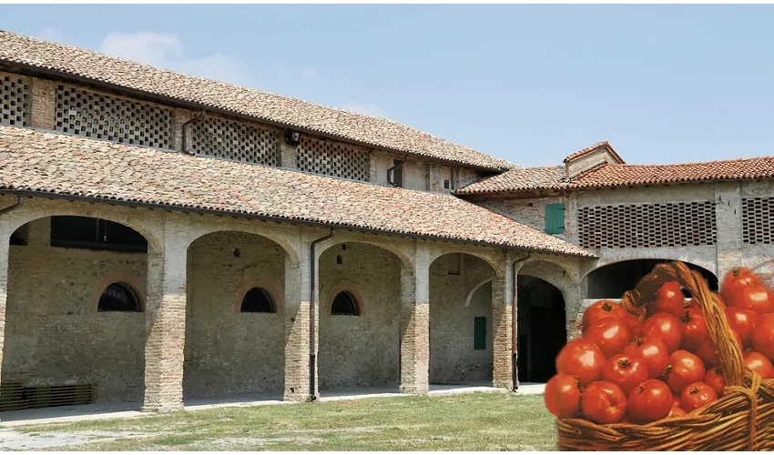 Food Museums: Tomato Museum