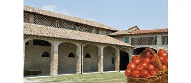 Food Museums: Tomato Museum