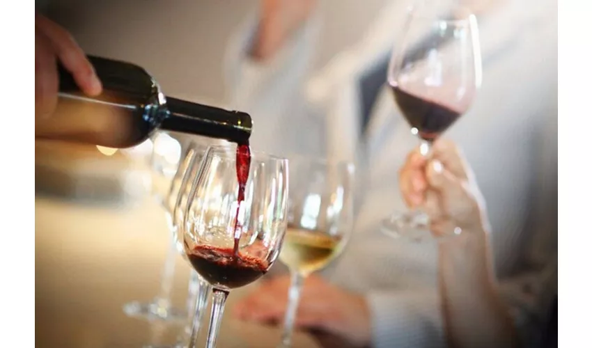Venecia: Cata de Prosecco y Vino Tinto