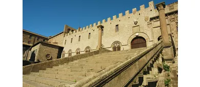 Saltar la línea del Palacio de los Papas (Polo Monumental Colle del Duomo)