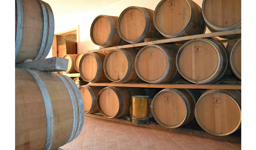 Cantina Fratelli Vogadori: Valpolicella-Weinverkostung
