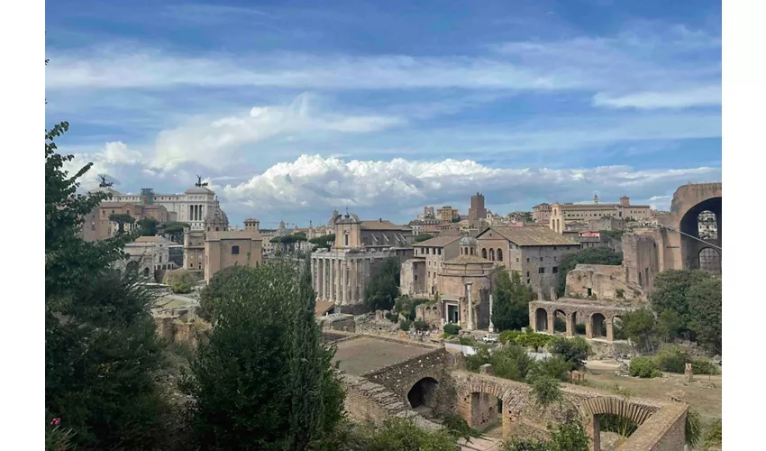 Coliseo, Foro Romano y monte Palatino + Tour guiado exprés