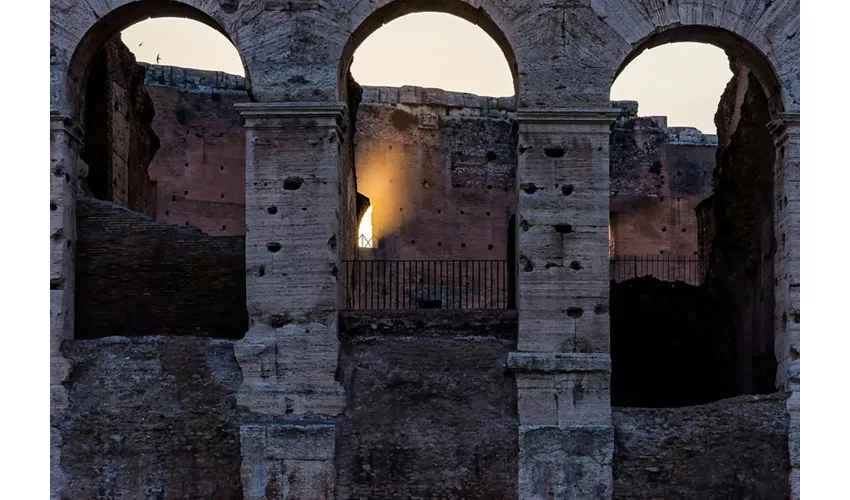 Colosseo e Foro Romano: Tour guidato semi privato