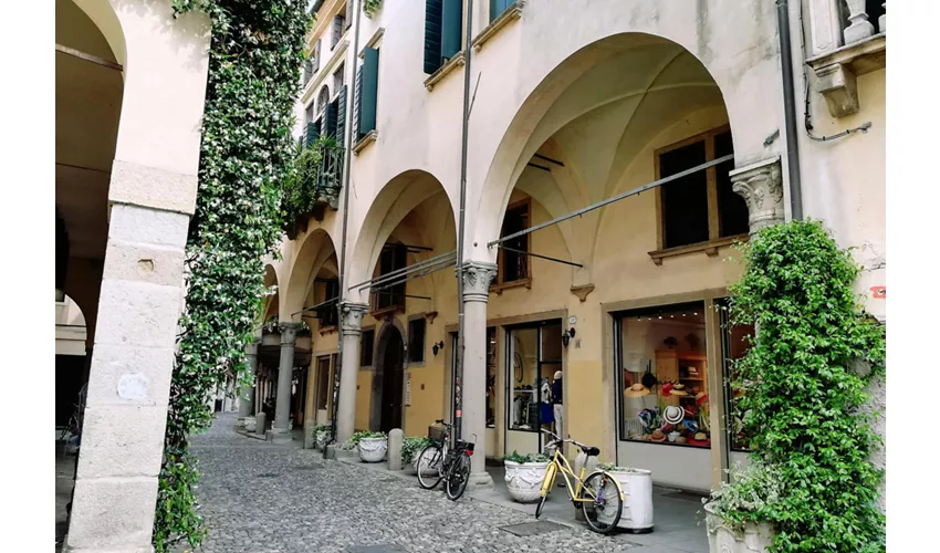 Padova: Visita guidata + Trasferimenti in treno da Venezia + Ingresso all'Orto Botanico