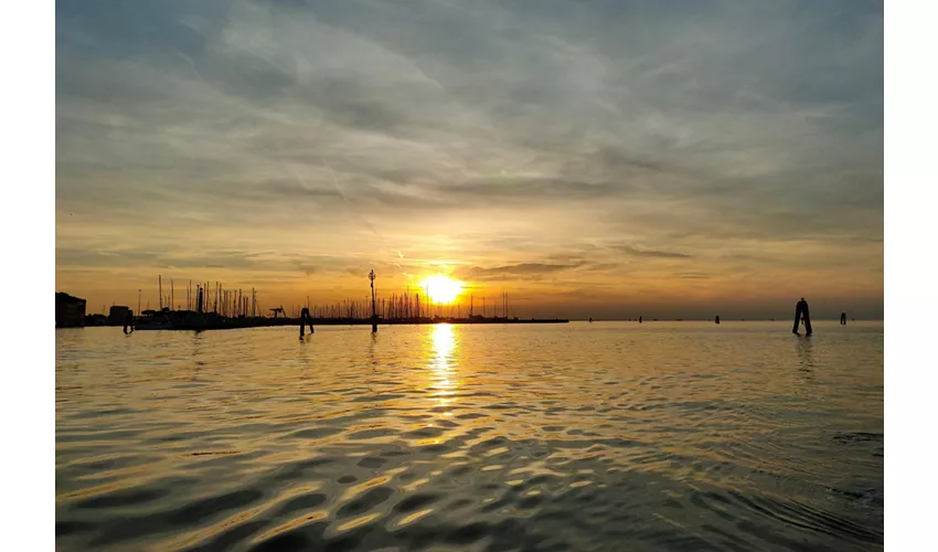 Chioggia: Guided Venetian Lagoon Sunset Boat Tour