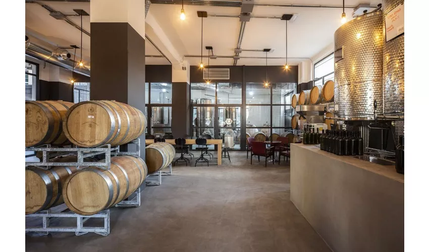 Cantina Urbana: Visita guidata e degustazione di vini