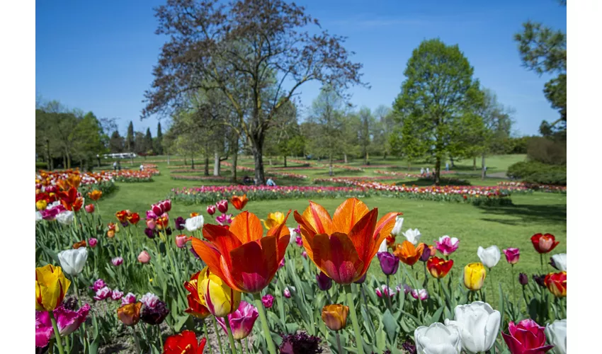Parco Giardino Sigurtà: Billete de fecha abierta