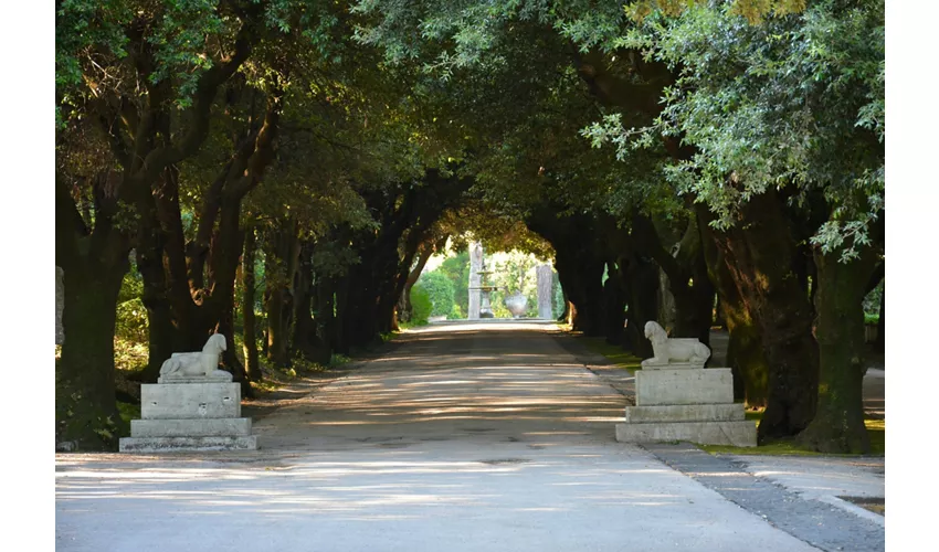 Pontifical Villas of Castel Gandolfo Gardens: Eco Minibus Tour