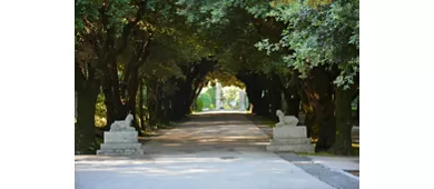 Pontifical Villas of Castel Gandolfo Gardens: Eco Minibus Tour