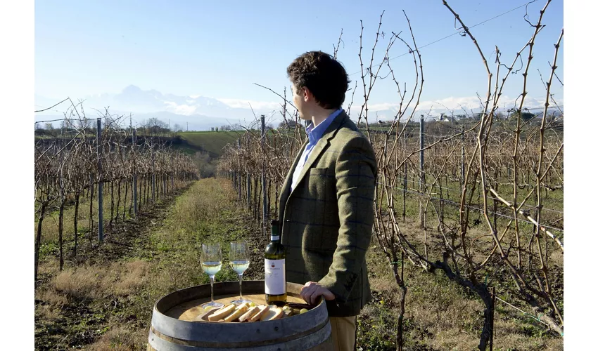 Historische Kellertour und Verkostung in den Abruzzen