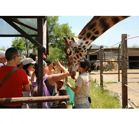 Jardim Zoológico de Abruzzo: bilhete de entrada