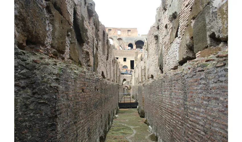 Colosseum, Arena, Underground, Forum & Palatine Hill + Guided Tour