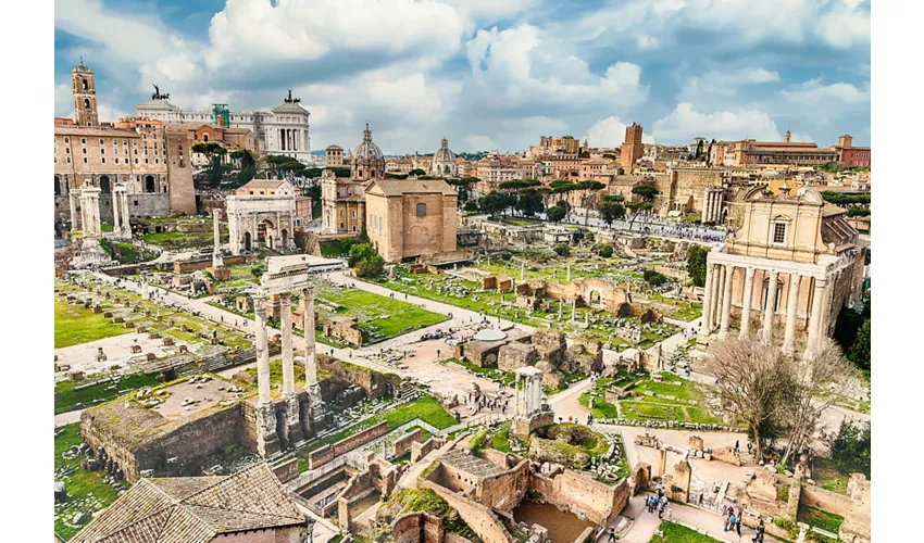 Colosseo, Arena, Foro Romano e Palatino + Tour in autobus