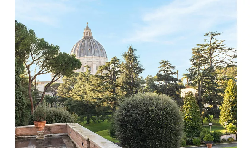 Vatican Museums & St. Peter's Basilica: Fast Track Ticket + Guided Tour