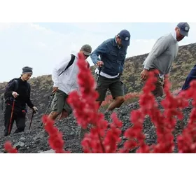 Etna: Excursión desde Catania