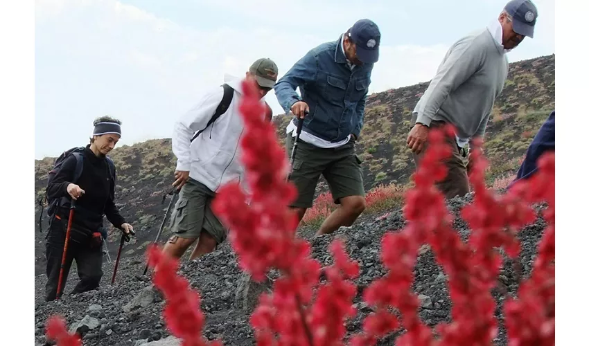 Etna: Excursión desde Catania