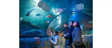 Gardaland Park, LEGOLAND® Water Park e SEA LIFE Aquarium: Pass Combo di 2 giorni