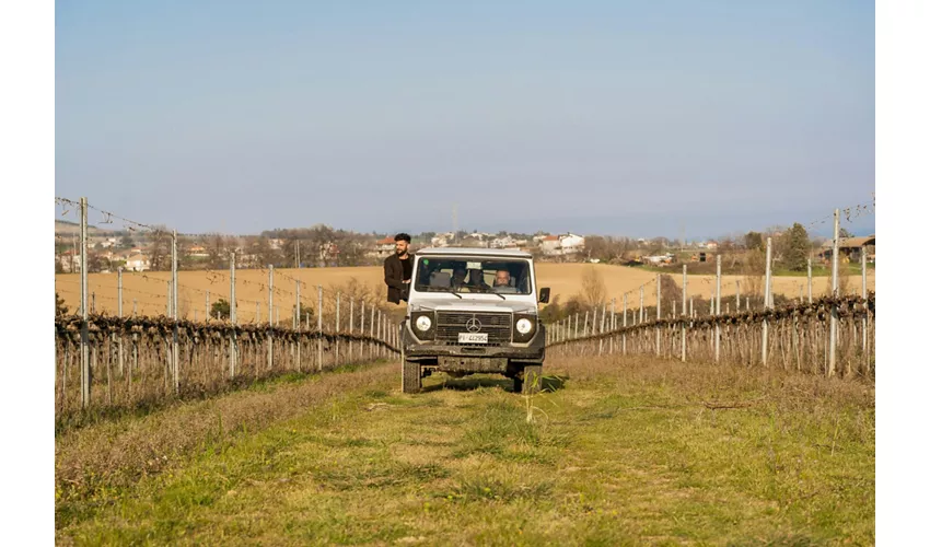 Safari Grand Tour und Verkostung